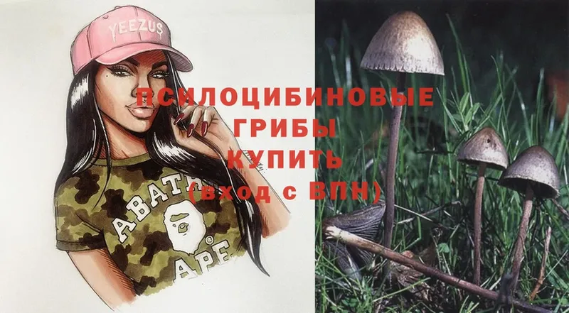 кракен как зайти  где купить наркотик  Покров  Галлюциногенные грибы Magic Shrooms 